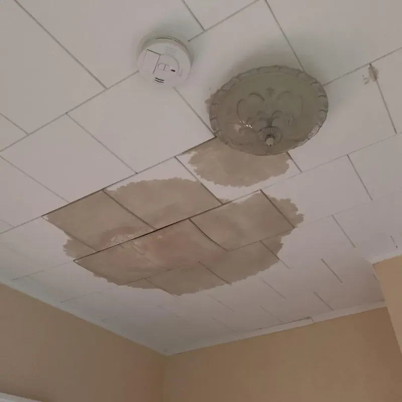Ceiling Water Damage Repair in Electric City, WA