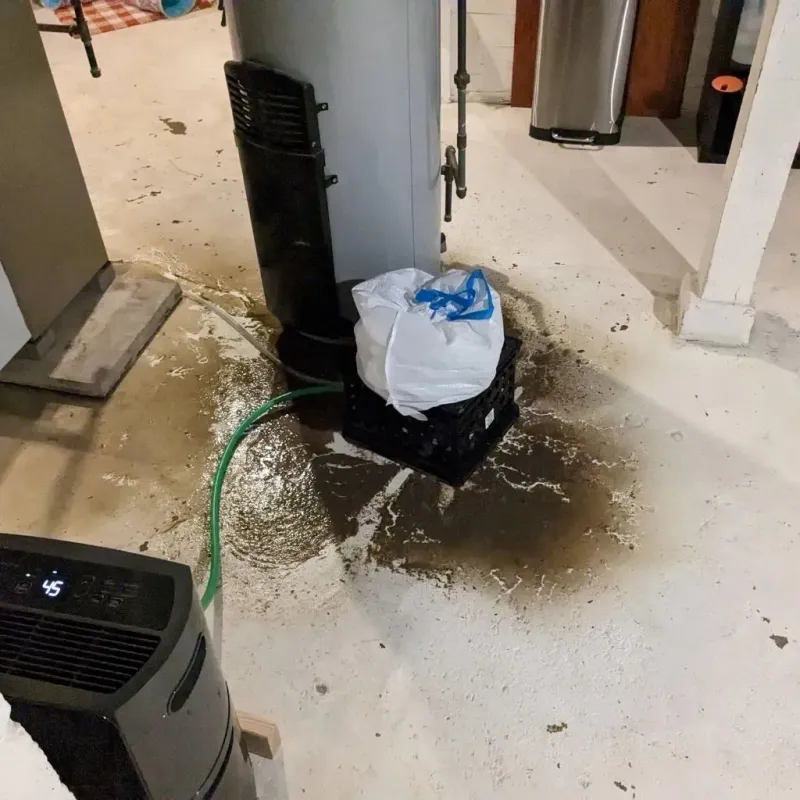 Sewage Backup Cleanup Service in Electric City, WA